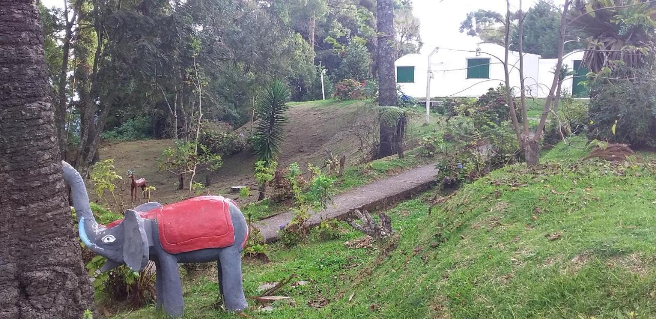 Pensão Igloo